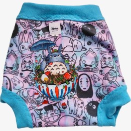 Short evolutivo Totoro