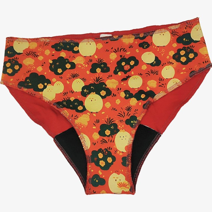 Braguitas menstruales preventa