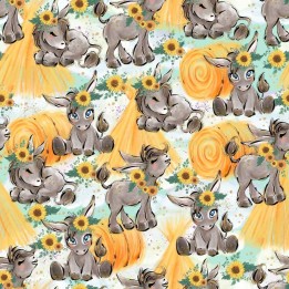 Tela sweet burros preventa