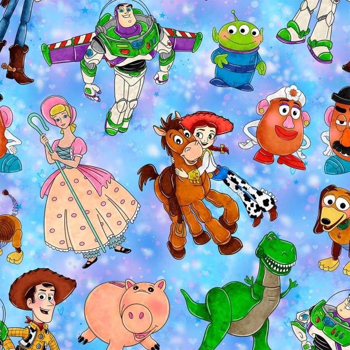 Tela Toy Story preventa